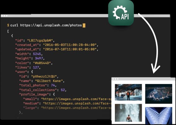 API Development & Integration